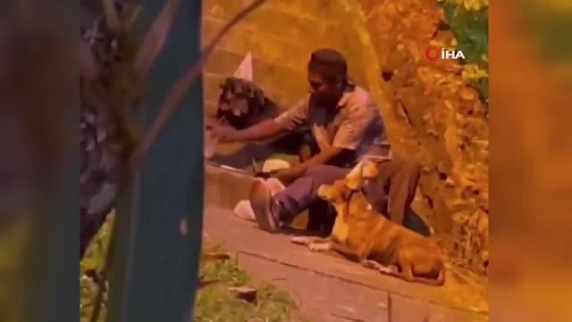 Doğum gününü köpeklerle kutladı! Evsiz adamın görüntüleri izleyenleri duygulandırdı